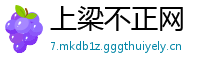 上梁不正网